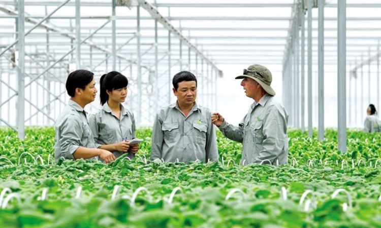 Đổi mới hoạt động tư vấn phát triển HTX: Khi lý thuyết quản trị cần đi đôi với thực tiễn thị trường