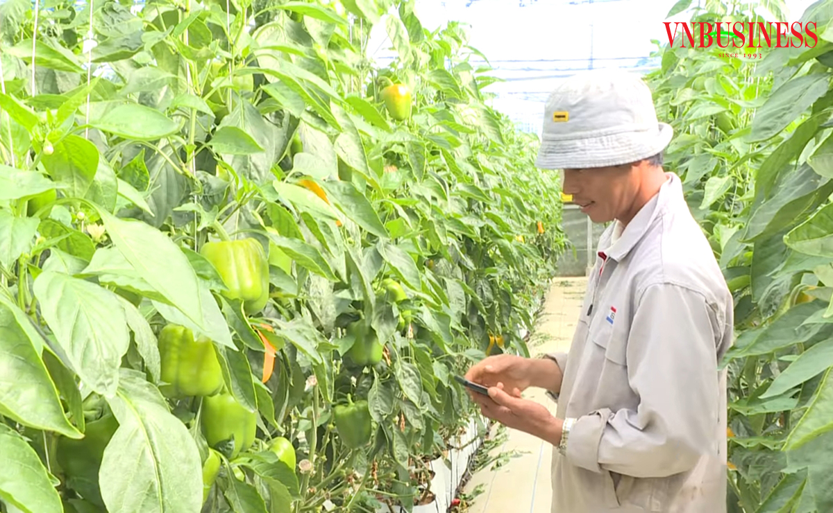 Đưa công nghệ vào đồng ruộng là chìa khóa giúp các HTX nâng cao giá trị sản xuất.