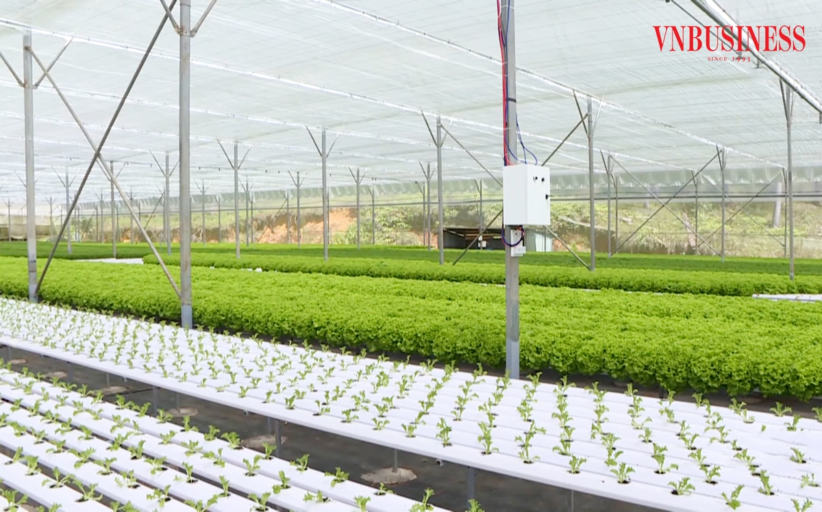 Phong trào ứng dụng công nghệ, chuyển đổi số đang lan tỏa trong khu vực HTX ở Lâm Đồng và cả nước.