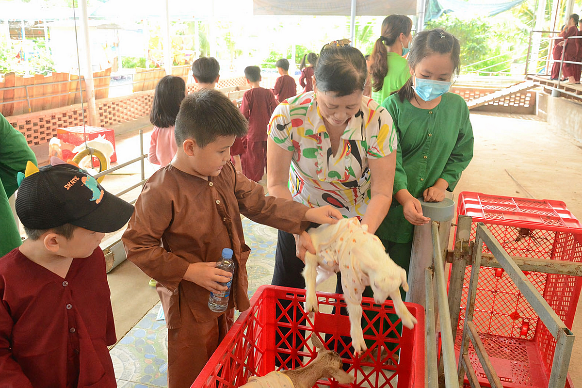 Trải nghiệm tại trại&nbsp;dê của HTX Đông Nghi.