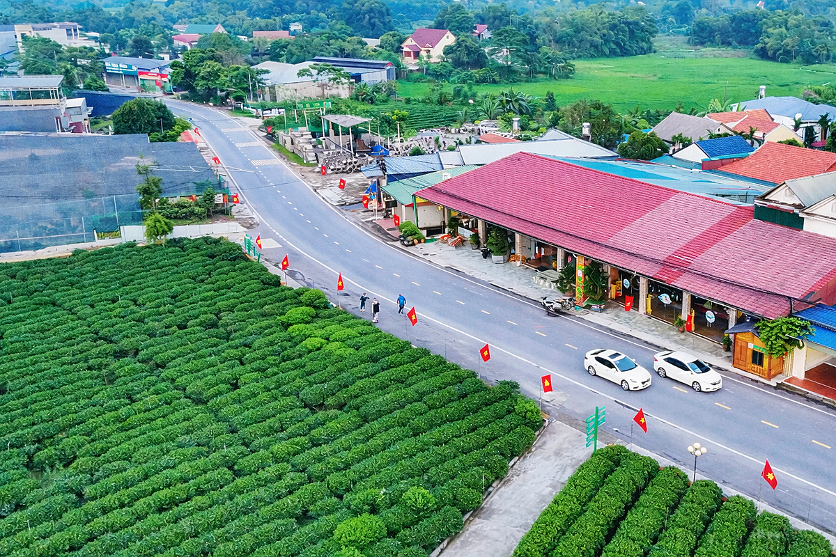 Các HTX là nền tảng phát triển kinh tế nông thôn.