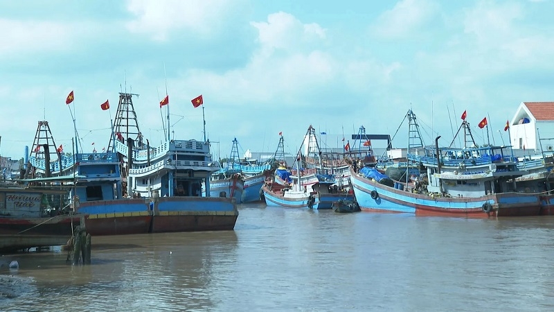 VASEP kêu gọi doanh nghiệp thủy sản tuân thủ IUU, quyết tâm gỡ thẻ vàng của EC