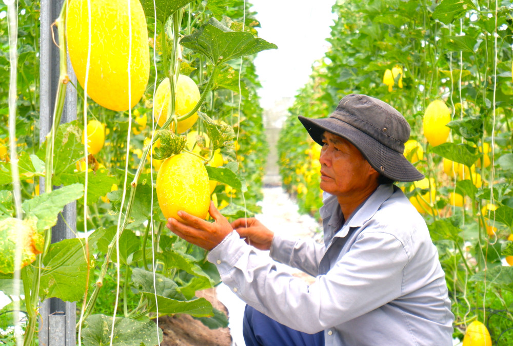 Khoa học công nghệ giúp mở rộng thị trường cho nông sản.