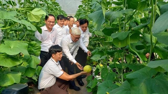 Công nghệ giúp chuẩn hóa chất lượng nông sản.