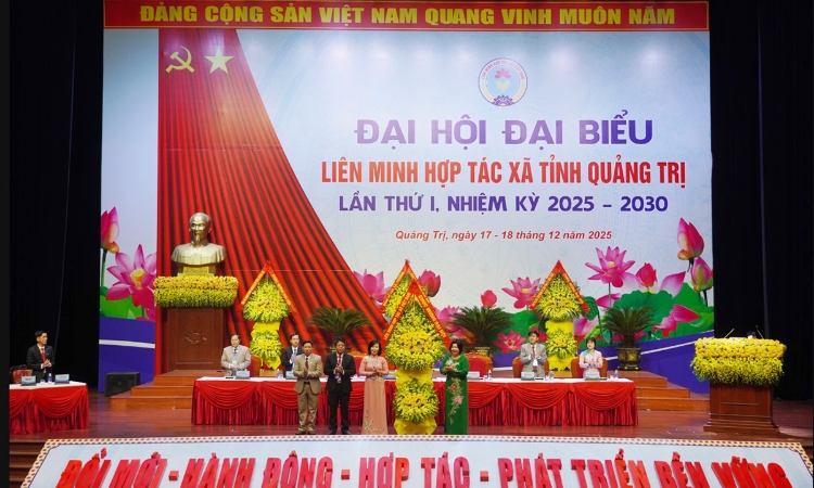 Đột phá tư duy từ HTX ‘hỗ trợ hộ’ sang HTX dẫn dắt, cạnh tranh và hợp tác theo chuỗi giá trị