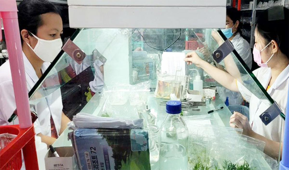 Liên kết 3 nhà là chìa khóa giúp HTX Kim Phát đưa sản phẩm từ phòng thí nghiệm ra đồng ruộng hiệu quả.