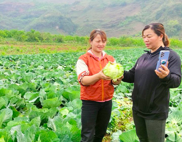 Thương mại điện tửu giúp mở rộng đầu ra cho nôgn sản.