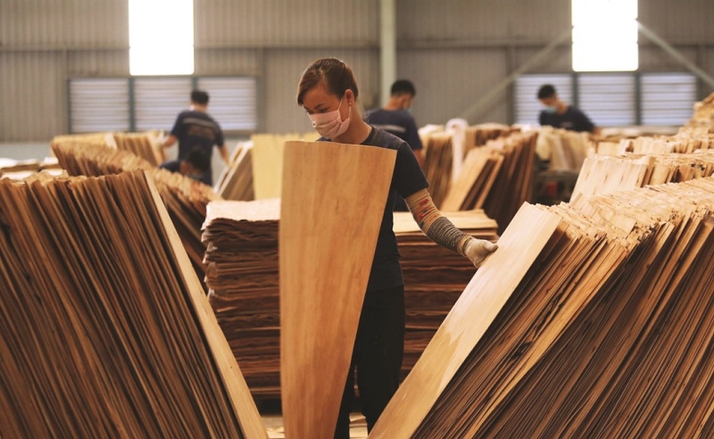 Nhãn hiệu chứng nhận “Gỗ Việt Nam/Vietnam Wood” ra đời là công cụ pháp lý bảo vệ uy tín sản phẩm Việt, giúp doanh nghiệp nâng cao năng lực cạnh tranh trên thị trường trong nước và quốc tế.