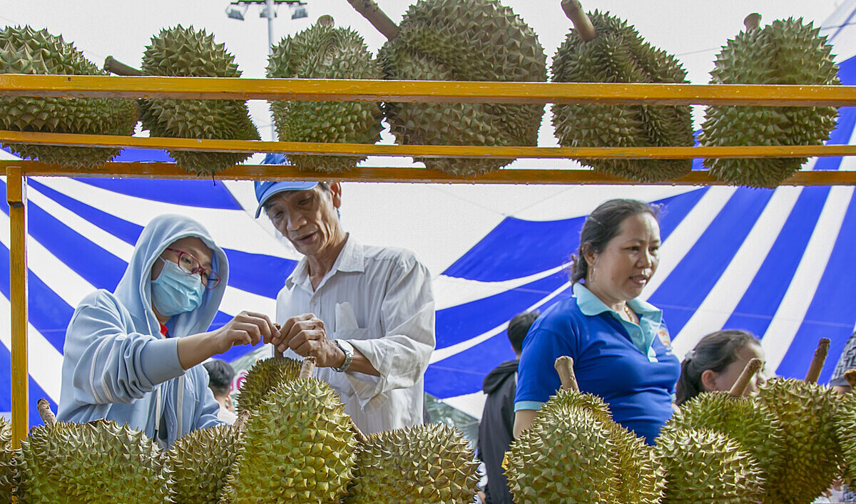 Nhiều nông sản ở Khánh Hòa rộng đầu ra nhờ áp dụng khoa học công nghệ.