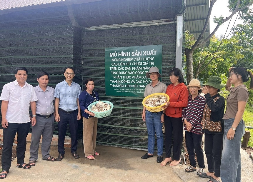 Dự án Sản xuất, chế biến và thương mại nấm ăn – nấm dược liệu dưới mái pin năng lượng mặt trời hướng tới kiến tạo chuẩn mực mới cho nông nghiệp hiện đại.