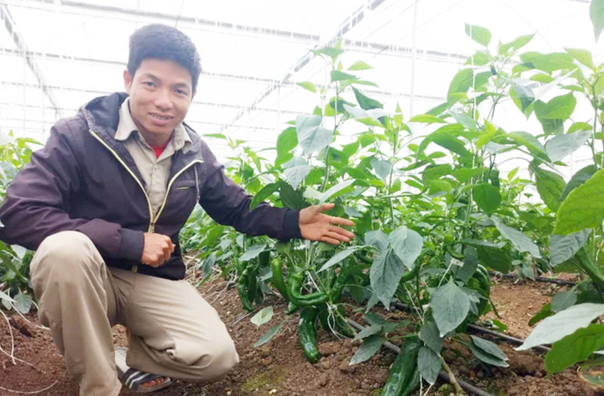 Khoa học công nghệ là chìa khóa để người sáng lập HTX Tân Lập gặt hái thành công.