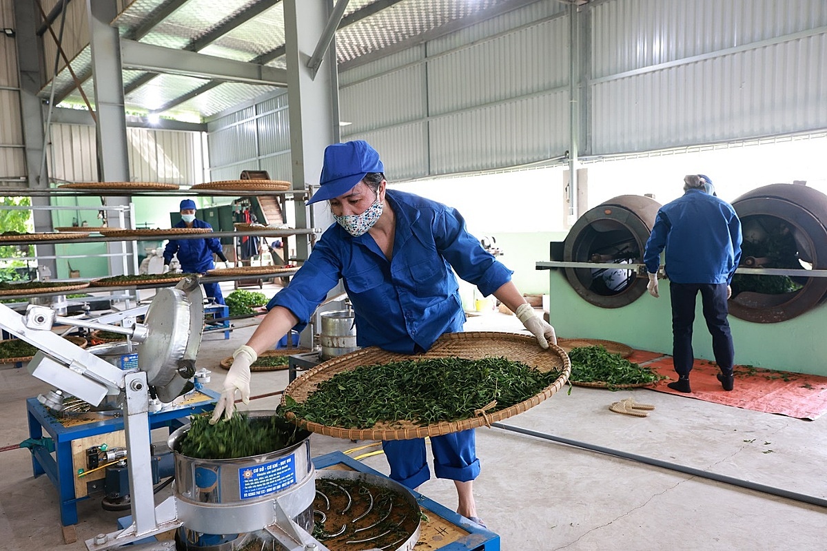 Máy móc, công nghệ giúp nâng cao giá trị sản phẩm.