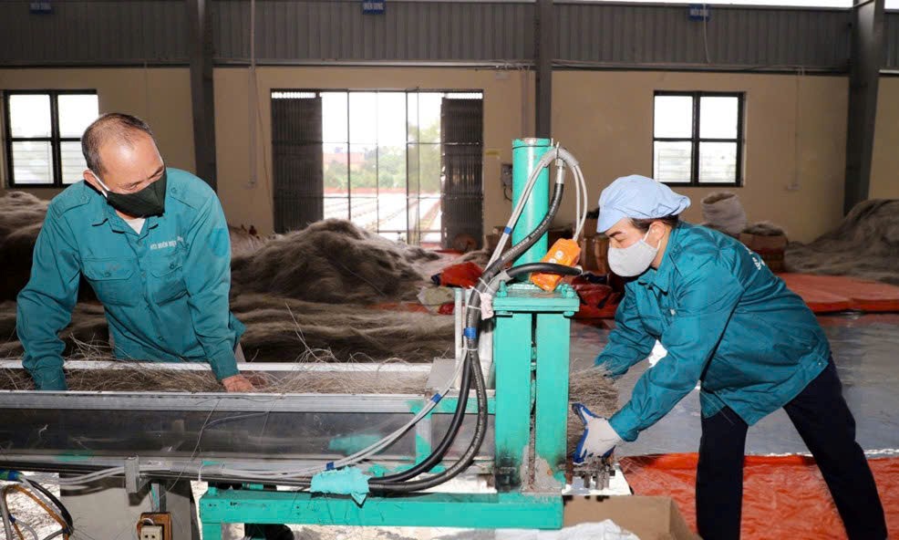 Máy cắt miến tại HTX Việt Cường giúp giảm sức lao động.