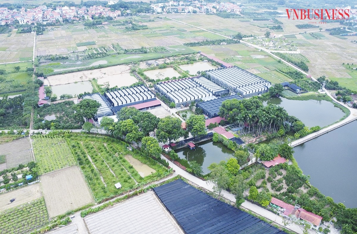 Khu sản xuất giàu khoa học công nghệ của HTX Đan Hoài.