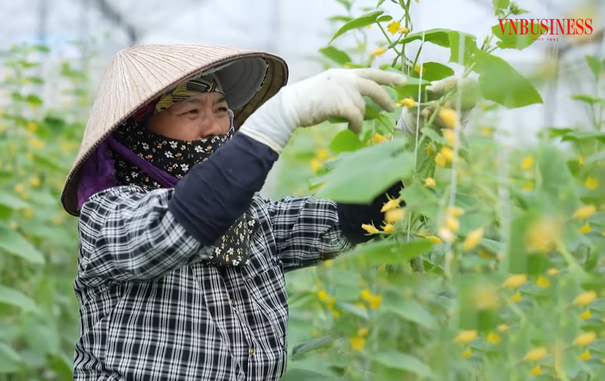 Số hóa quản trị là nền tảng để HTX hoạt động minh bạch, hiệu quả, tăng lợi ích cho thành viên.