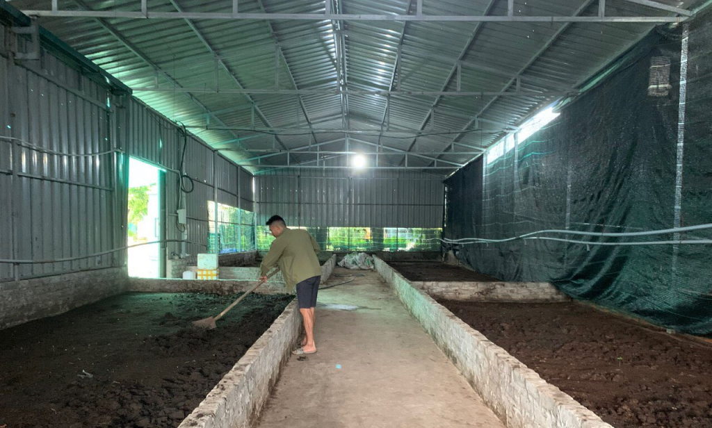 Ứng dụng công nghệ vào sản xuất trùn quế tại HTX Hạ Long Xanh.