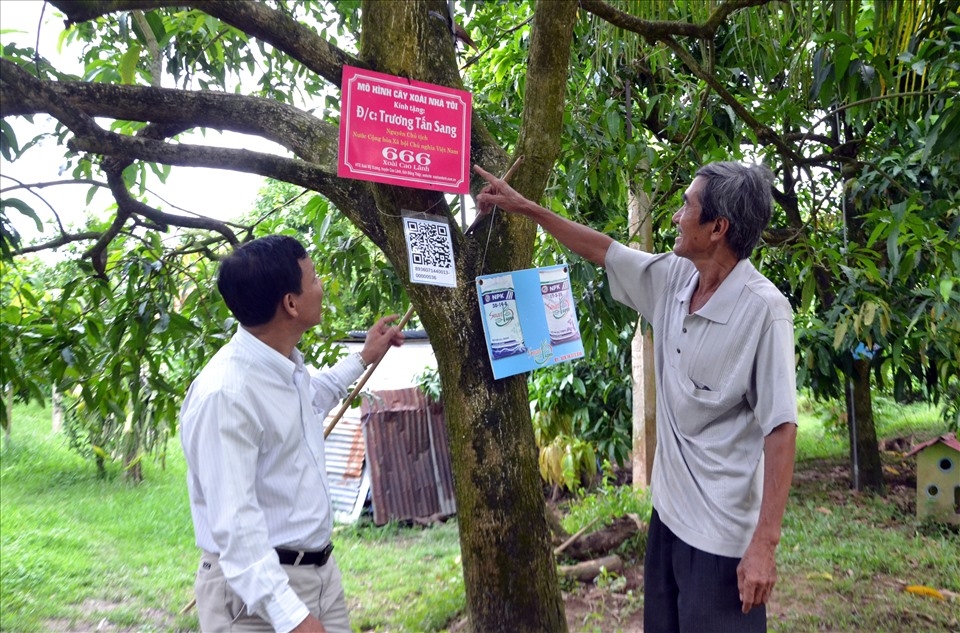 Số hóa được áp dụng đến từng gốc cây.