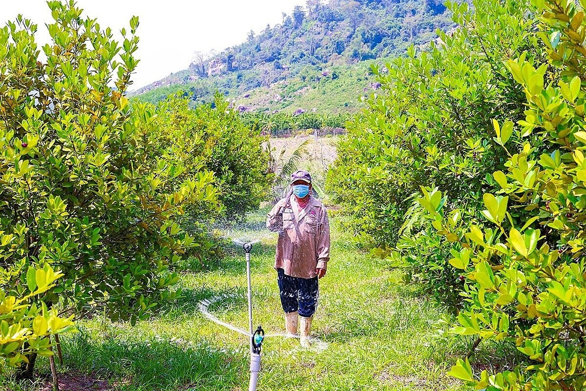 Trong giai đoạn mới, Việt Nam không thể tiếp tục dựa vào tăng trưởng theo chiều rộng, mà phải chuyển mạnh sang tăng trưởng theo chiều sâu, dựa trên chất lượng, hiệu quả, năng suất và sức cạnh tranh của nền kinh tế.