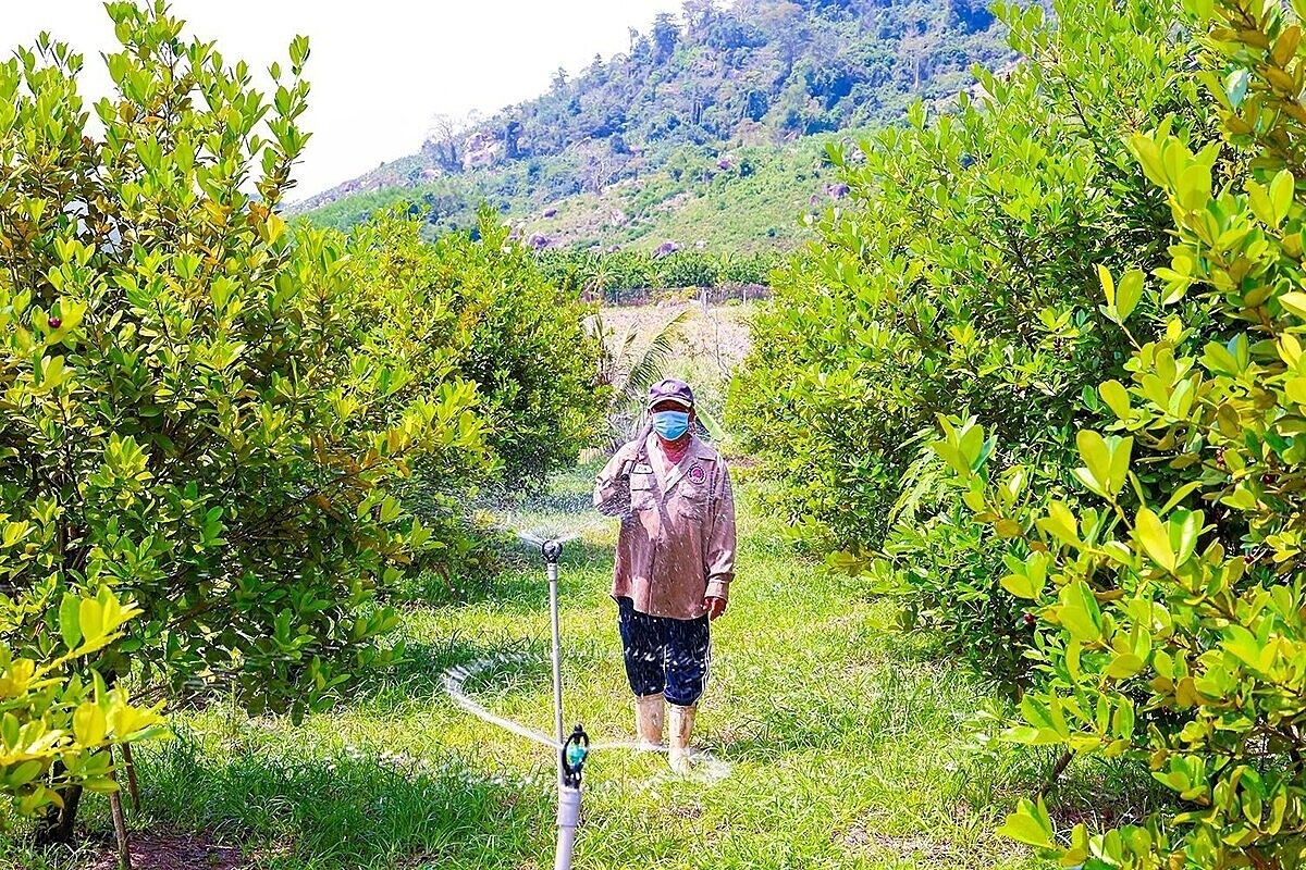 Trong giai đoạn mới, Việt Nam không thể tiếp tục dựa vào tăng trưởng theo chiều rộng, mà phải chuyển mạnh sang tăng trưởng theo chiều sâu, dựa trên chất lượng, hiệu quả, năng suất và sức cạnh tranh của nền kinh tế.