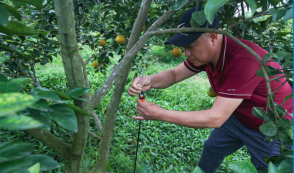 Khoa học công nghệ được áp dụng vào sản xuất của HTX.