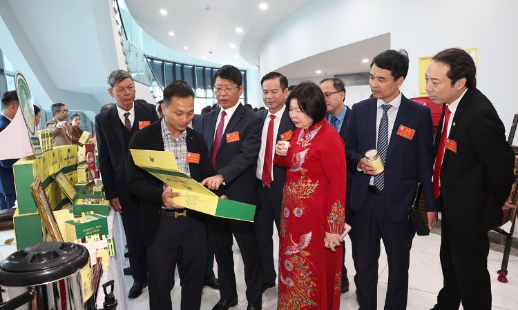 Chủ tịch Liên minh HTX Việt Nam gợi mở về việc xây dựng 3 HTX vào top đầu thế giới