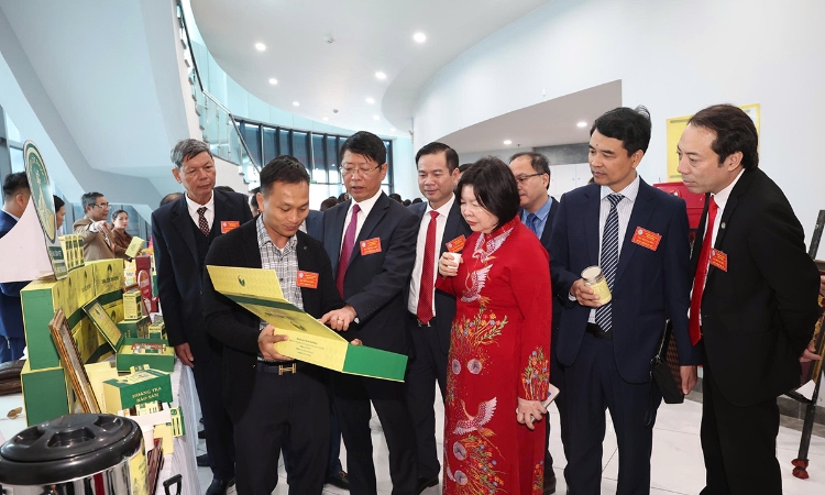 Chủ tịch Liên minh HTX Việt Nam gợi mở về việc xây dựng 3 HTX vào top đầu thế giới