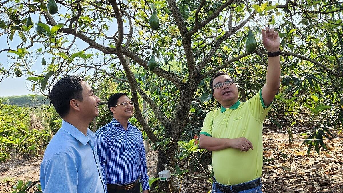 Những công nghệ tiên tiến nhất đã được Giám đốc Đặng Dương Minh Hoàng áp dụng vào thực tiễn.
