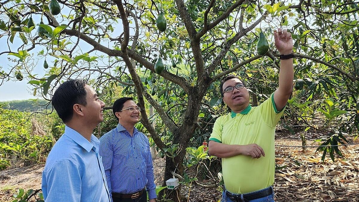 Những công nghệ tiên tiến nhất đã được Giám đốc Đặng Dương Minh Hoàng áp dụng vào thực tiễn.