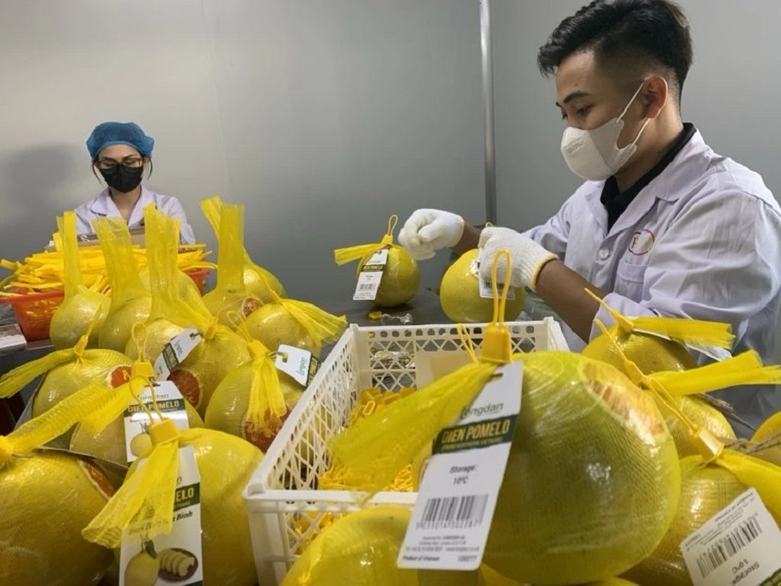 Người dân khi mua trái cây, chỉ cần quét mã QR đính trên quả để theo dõi toàn bộ nhật ký hành trình sản phẩm, từ mã vùng trồng, ngày thu hoạch, kho lưu trữ đến đơn vị phân phối của sản phẩm.