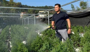 Không ngại khó, thanh niên nông thôn tự tin làm giàu từ cây trồng bản địa