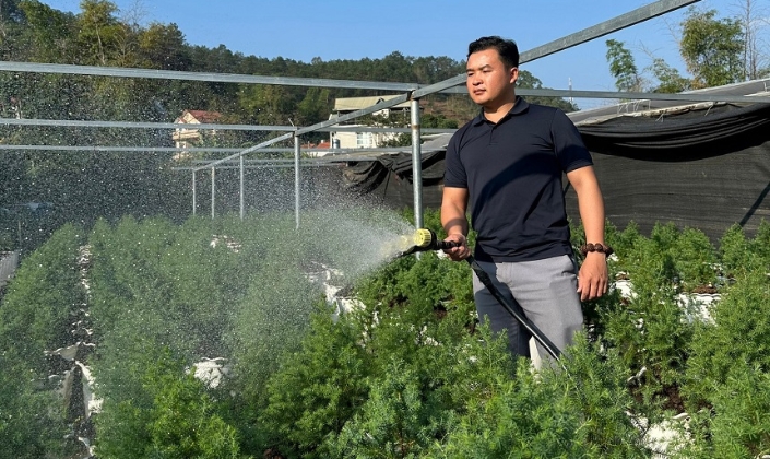 Không ngại khó, thanh niên nông thôn tự tin làm giàu từ cây trồng bản địa