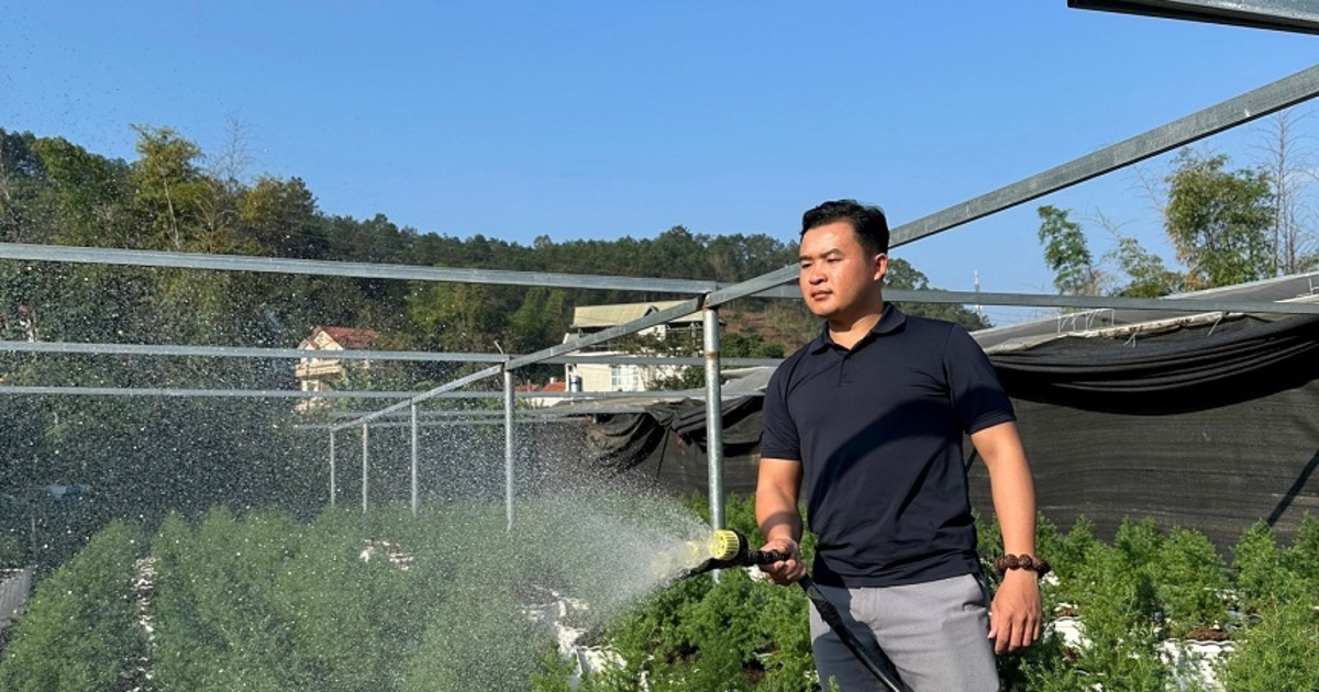 Không ngại khó, thanh niên nông thôn tự tin làm giàu từ cây trồng bản địa