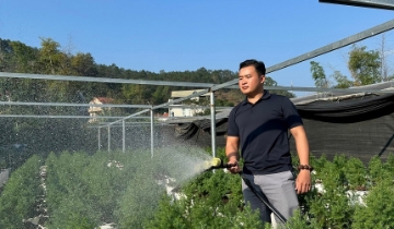 Không ngại khó, thanh niên nông thôn tự tin làm giàu từ cây trồng bản địa