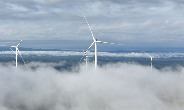 Bầu Hiển chính thức đưa dòng điện sạch xuyên biên giới từ Lào về Việt Nam