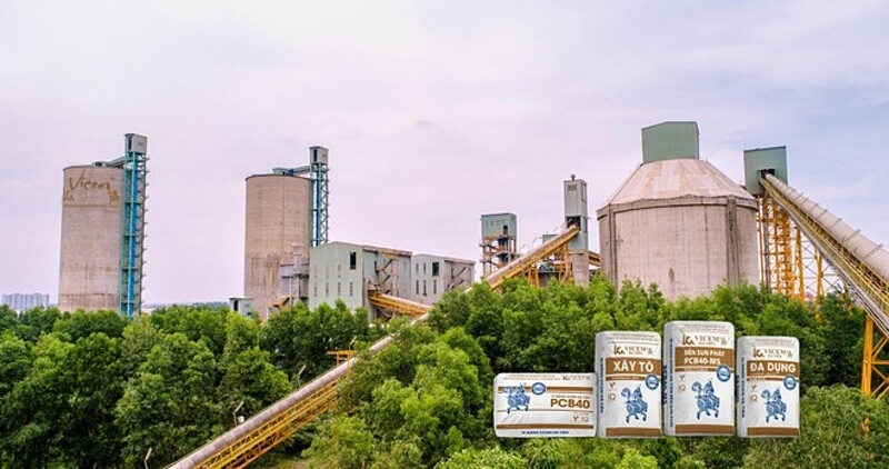 Công ty Cổ phần Xi măng Vicem Hà Tiên có nhiều lần vi phạm hành chính trong lĩnh vực thuế.