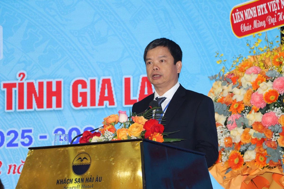 Phó Chủ tịch UBND tỉnh Gia Lai Nguyễn Hữu Quế phát biểu tại Đại hội.