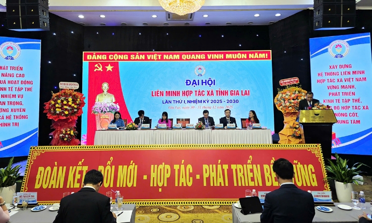 Đại hội đại biểu Liên minh HTX tỉnh Gia Lai: Khẳng định vai trò trụ cột trong phát triển nông nghiệp, nông thôn