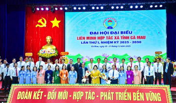 The First Congress of Ca Mau Cooperative Alliance:
Listening to Cooperatives, Speaking Their Language, Earning Their Trust