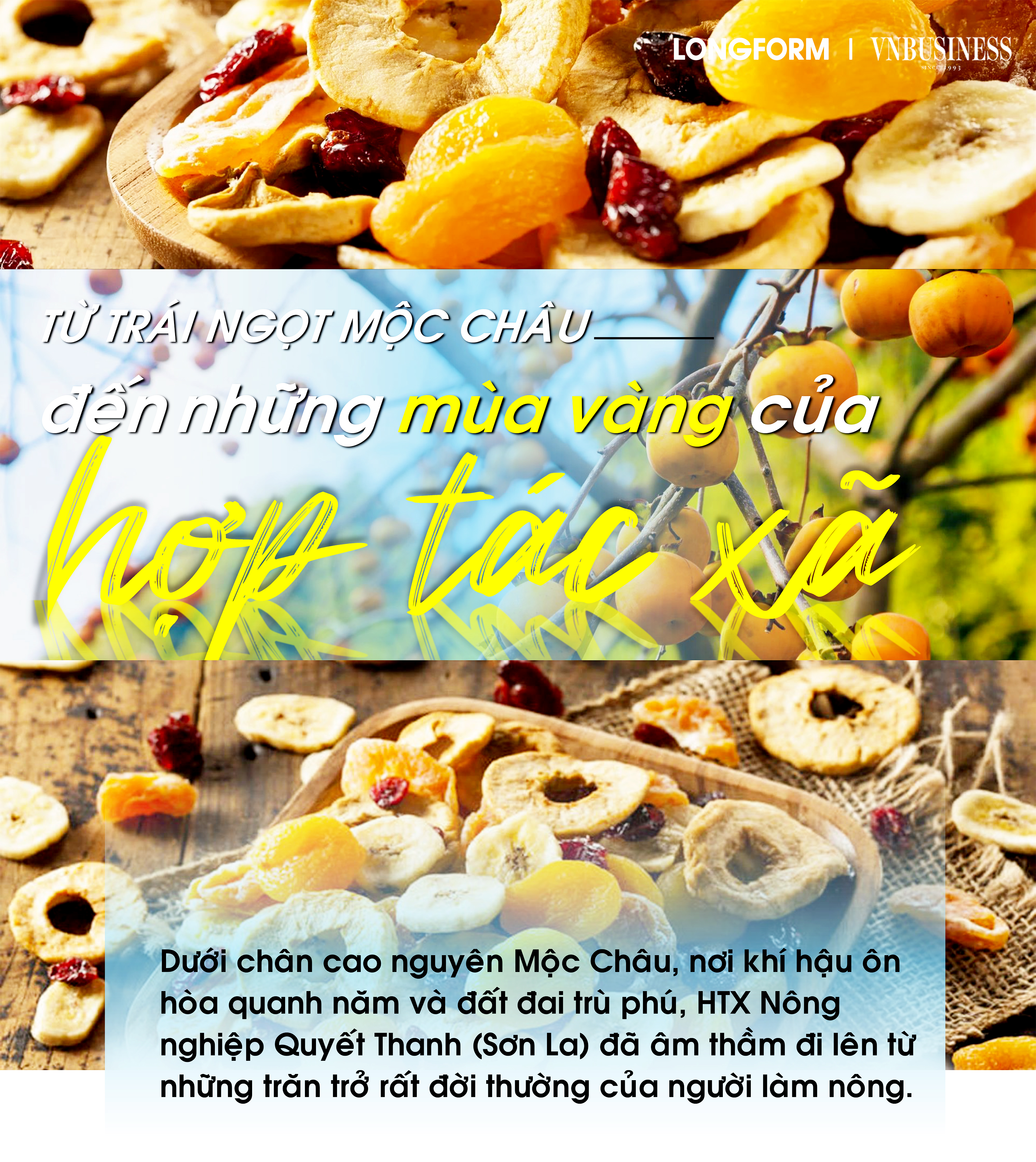 Từ trái ngọt Mộc Châu đến những mùa vàng của hợp tác xã