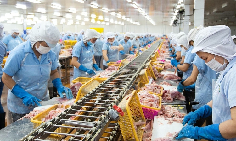 Chủ tịch Thuỷ sản Nam Việt thoái sạch vốn