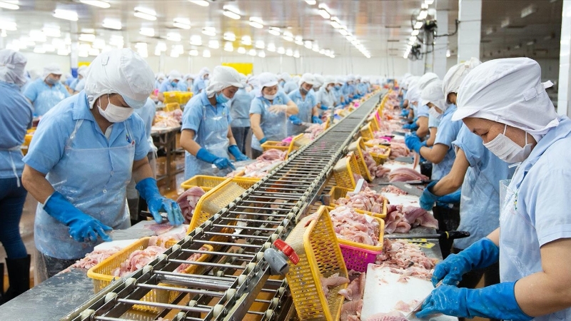 Chủ tịch Thuỷ sản Nam Việt thoái sạch vốn