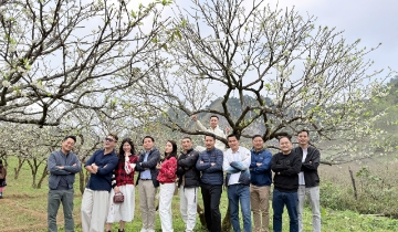 Hoa mận Tây Bắc hút tiền du lịch miền Nam 