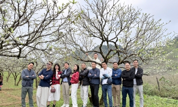 Du khách Cần Thơ, TP HCM thích thú 'checkin' hoa mận và tận hưởng mùa đông Tây Bắc