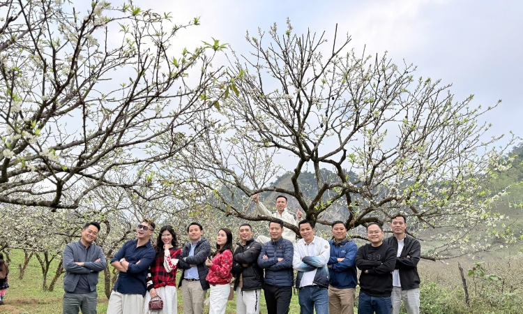 Hoa mận Tây Bắc hút tiền du lịch miền Nam