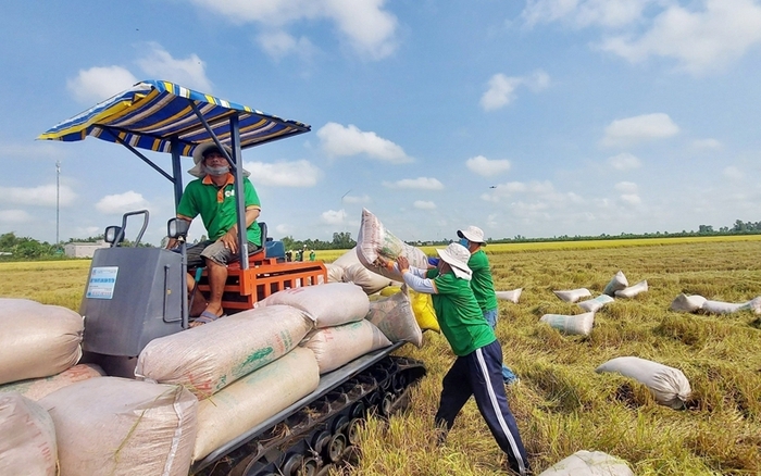 Năm 2025, mặc dù gặp nhiều khó khăn thách thức từ thị trường về rào cản thuế quan, thiên tai, nông nghiệp Việt Nam vẫn tiếp tục duy trì 10 mặt hàng xuất khẩu trên 1 tỷ USD.&nbsp;