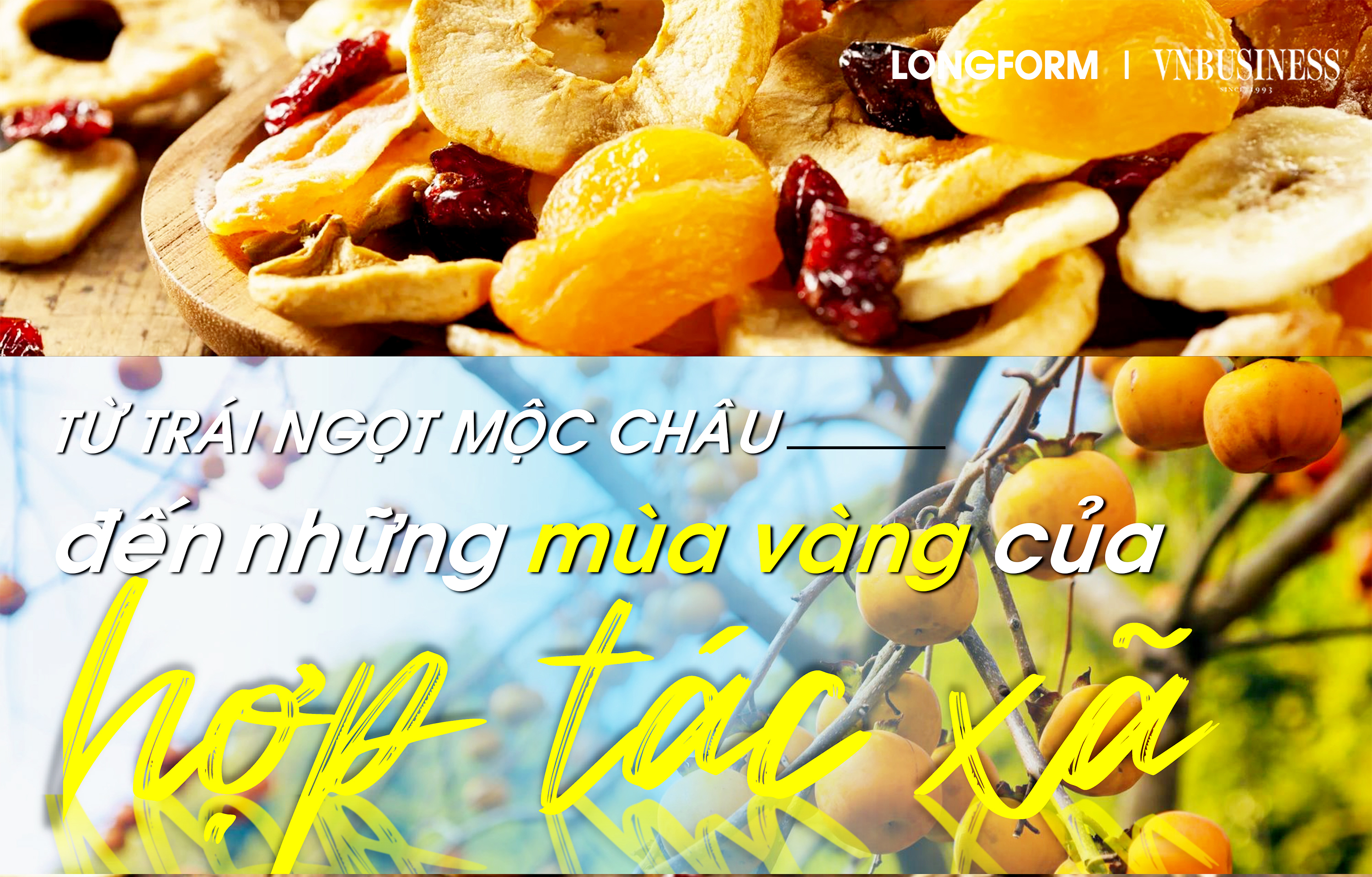 Từ trái ngọt Mộc Châu đến những mùa vàng của hợp tác xã