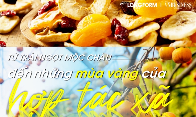 Từ trái ngọt Mộc Châu đến những mùa vàng của hợp tác xã