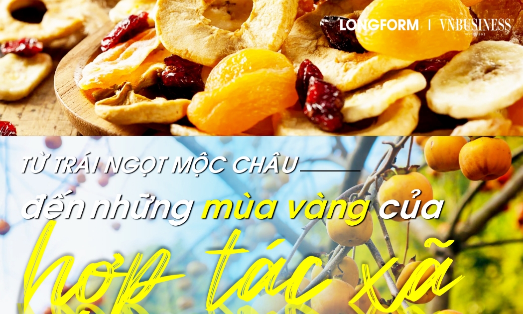 Từ trái ngọt Mộc Châu đến những mùa vàng của hợp tác xã