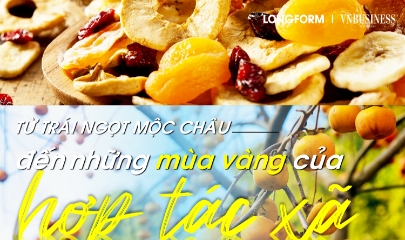 Từ trái ngọt Mộc Châu đến những mùa vàng của hợp tác xã
