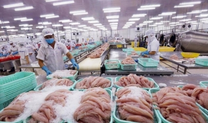 ngành thủy sản hướng tới sản lượng trên 10 triệu tấn